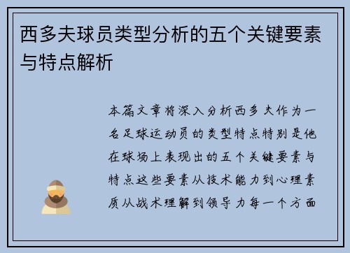 西多夫球员类型分析的五个关键要素与特点解析