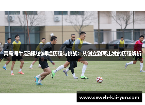 青岛海牛足球队的辉煌历程与挑战：从创立到再出发的历程解析