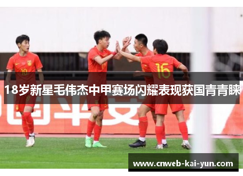 18岁新星毛伟杰中甲赛场闪耀表现获国青青睐